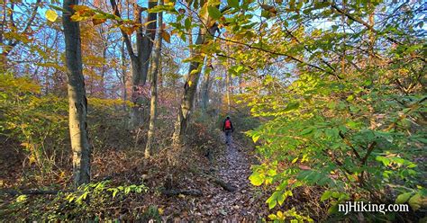 Watchung Reservation – Sierra Trail | njHiking.com