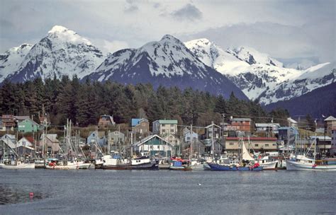 Sitka | Audubon Alaska