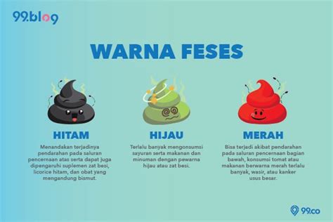 Cek Tekstur & Warna Feses untuk Mengenali Kesehatan Tubuh