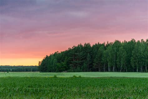 Countryside Nature Landscape at Sunset in Poland: Free Picture for Blogs