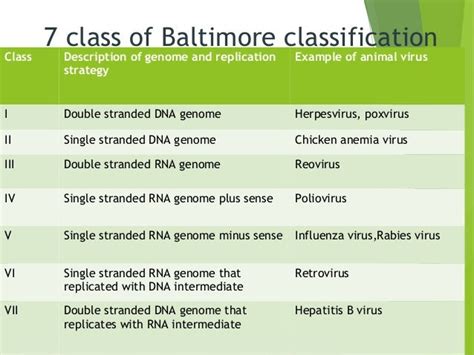 classification of virus and basic terms