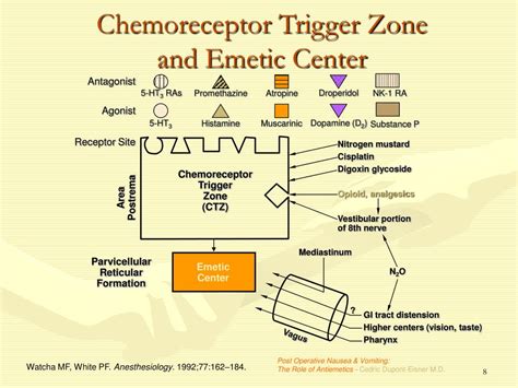 PPT - The Treatment of Postoperative Nausea and Vomiting PowerPoint ...