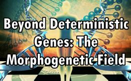 Beyond Deterministic Genes: The Morphogenetic Field | Wetenschap