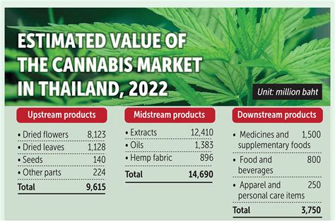 Bangkok Post - Cannabis valued at B43bn by 2025