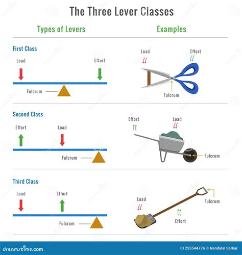 Different Types of Levers with Examples Vector Illustration Stock Vector - Illustration of ...