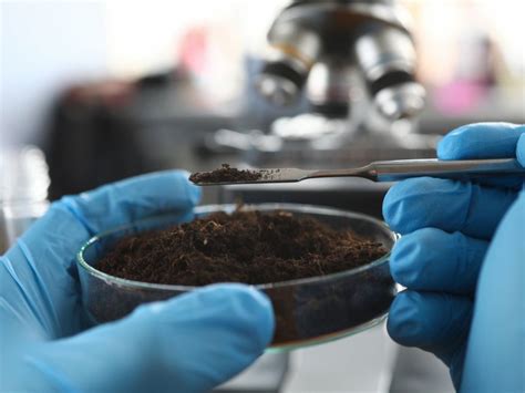 Contaminants In Soil: Tips For Preventing And Cleaning Contaminated Soil