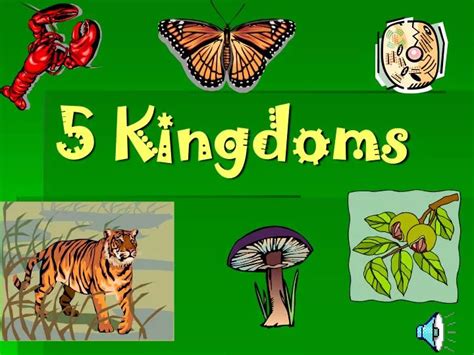 PPT - 5 Kingdoms PowerPoint Presentation, free download - ID:6817437