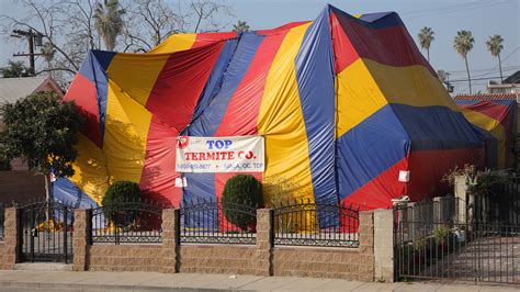 Termite Fumigation in California Is Fueling the Rise of a Rare Greenhouse Gas - Eos