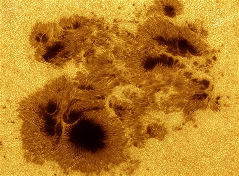 Astronomy Picture of the Day | Astronomy pictures, Sunspot, Astronomer