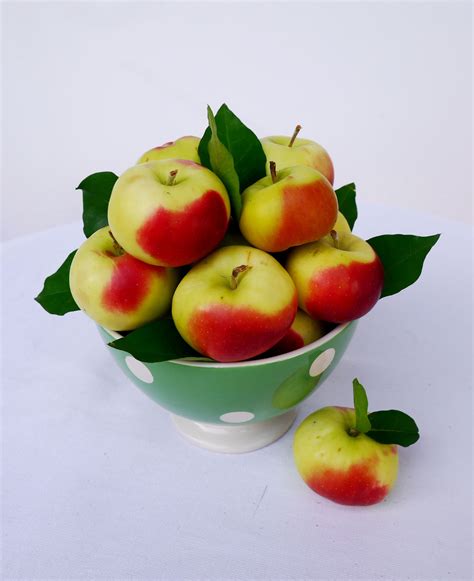 Pin by Romanie Wasantapruek on Fruits and Flowers | Lady apples, Fruit, Apple