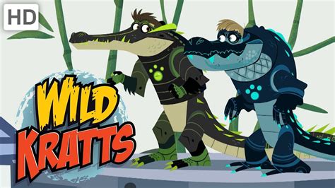 Wild Kratts 🐊 Alligators vs. Crocodiles! | Kids Videos - YouTube