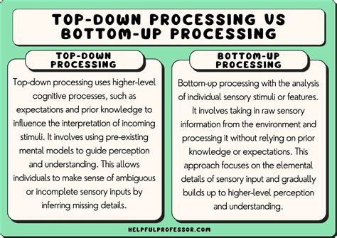 25 Top-Down Processing Examples (2024)