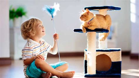 Top 10 Cat Toys Felines Love According to Cat Owners - Floppycats™