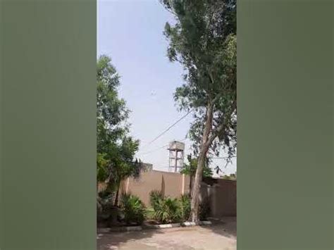 Judicial Complex Phalia... beautiful weather... lovely 🌳 🌲 🌴 trees - YouTube