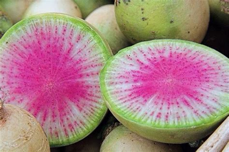 Las 30 frutas exóticas más hermosas del mundo | Frutta esotica ...