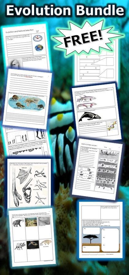 Evolution and Natural Selection Unit Printable Work Bundles | Teaching biology, Biology ...