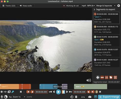 how do I get the full playback control as shown in this screenshot ...