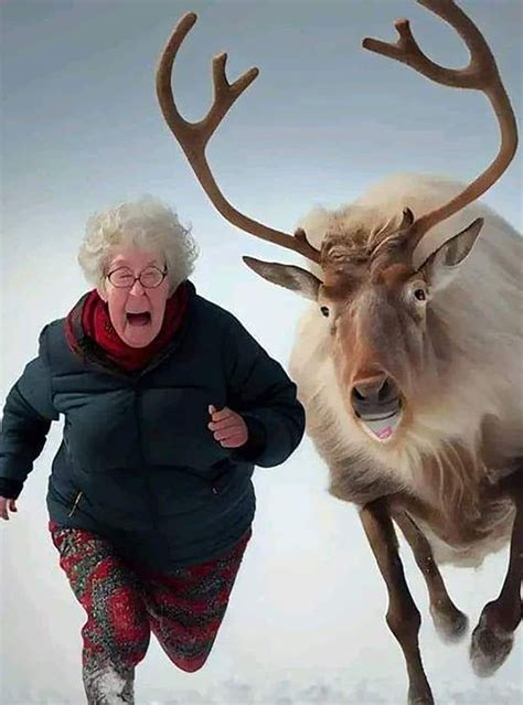 Grandma got ran over by a reindeer Blank Template - Imgflip