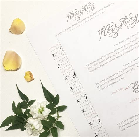 Free Calligraphy Flourishing Worksheets - Inkberry Calligraphy