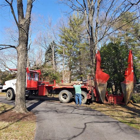 Guide to Effective Tree and Shrub Pruning - Garden Girls LLC