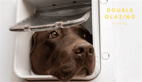 Install dog or cat flap in a glass door, installing doggie door double ...