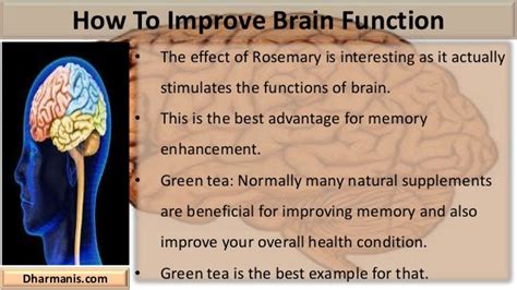 What Memory Enhancer Supplement Should I Take To Improve Brain Function?