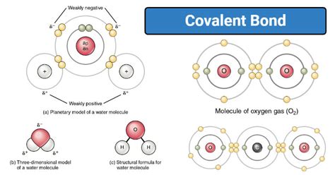 Describe the General Location of Electrons in a Covalent Bond ...