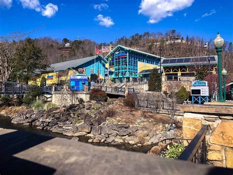 Ripley's Aquarium in Gatlinburg, TN. | Attractions