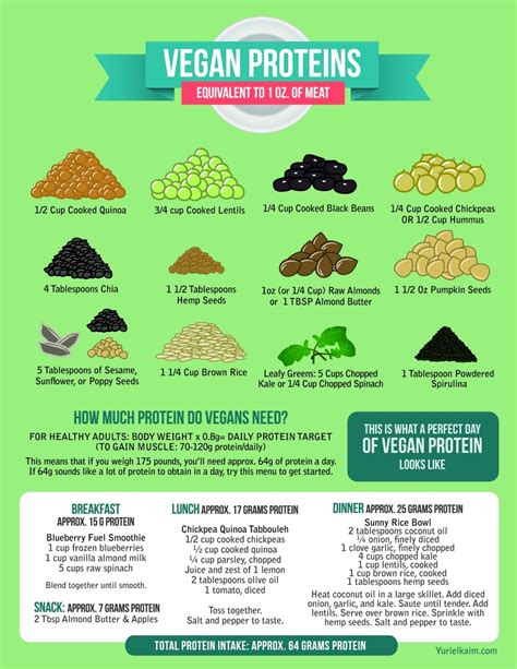 The Definitive Guide to the 12 Best Vegan Protein Sources | Yuri Elkaim