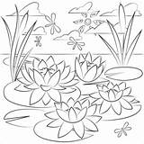 Water lily Coloring Pages Printable For Free Download sketch template
