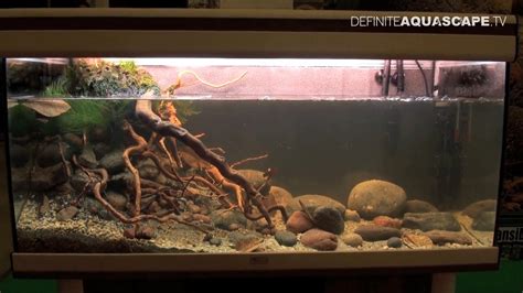 Biotope Aquarium Design Contest 2014 - the 3rd place, North America ...