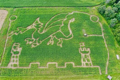 Upstate NY Corn Maze Takes the Castle with Fire Breathing Dragon