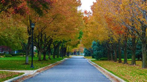 Fall in Kansas: Best Fall Foliage + Activities - Midwest Explored