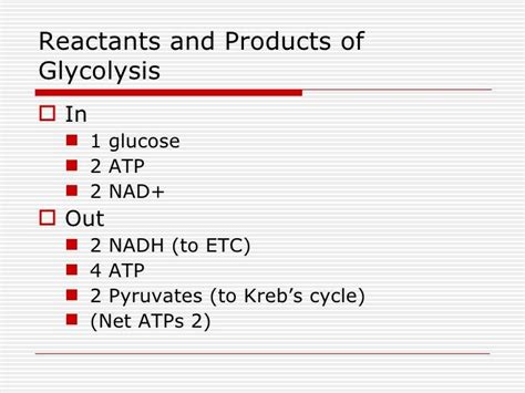 Etc And Glycolysis