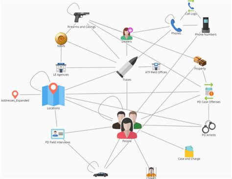 Palantir Gotham Alternative | DataWalk