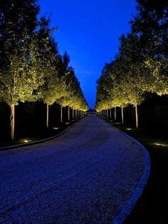 11 Tree UpLighting ideas | landscape lighting design, landscape ...