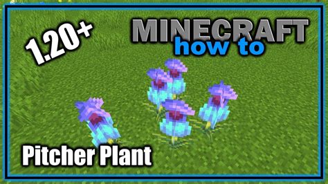 Everything About the Pitcher Plant in Minecraft! (1.20) | Easy Minecraft Flora Guide - YouTube