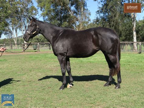 Best On Breeding | Breednet