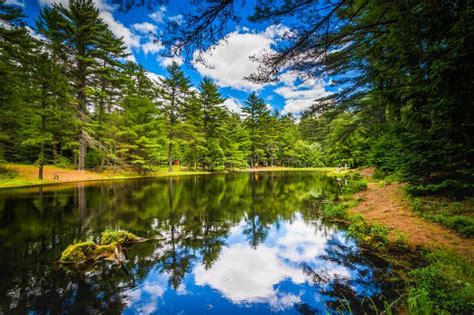 The Archery Pond at Bear Brook State Park, New Hampshire. Stock Image ...