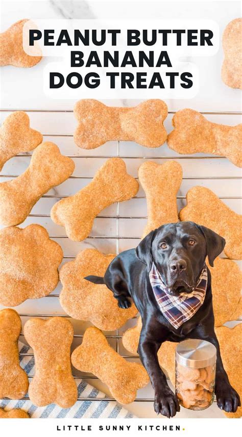 Baked Peanut Butter Banana Dog Treats - Little Sunny Kitchen