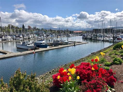 Enjoy the Port of Bellingham’s Many Beautiful Parks - WhatcomTalk