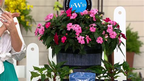 Phillip Watson Designs Single Whiskey Barrel Planter on QVC - YouTube