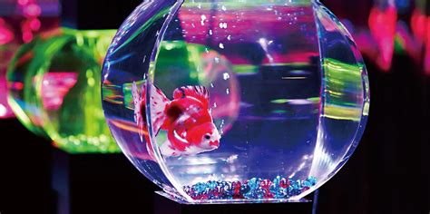 Updated: A Magical Art Aquarium is Opening in Tokyo This August ...