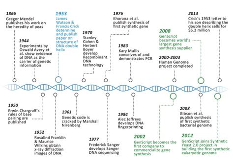 History Of DNA How It Works Issue 152 | ubicaciondepersonas.cdmx.gob.mx