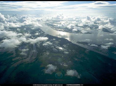 Orinoco River Delta, Venezuela | Airplane view, Look at the sky, Natural landmarks