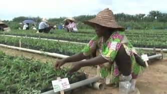 Gabon, PROMOTION DE L'AGRICULTURE - YouTube