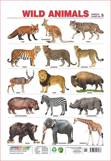 Set Of 5 Educational Wall Charts Domestic Animals Wild Amazing | Wild animals pictures, Animals ...