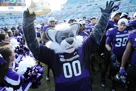 Willie the Wildcat Has Pretty Good Idea Which Freshman to Invite to Furry Rave | Northwestern ...