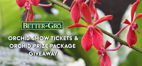 Orchid Show Tickets - Better-Gro