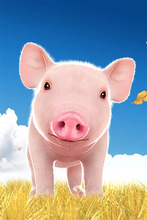 🔥 [50+] Cute Piggy Wallpapers | WallpaperSafari